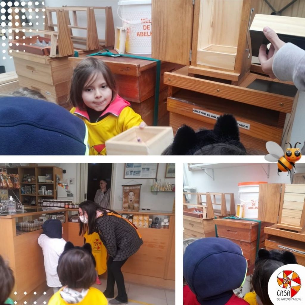 Finalização da pesquisa